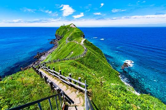 【Hokkaido Regular Sightseeing Bus】 E “Discover Shakotan” Scenic Shakotan Cape Course