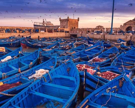 From Marrakech Essaouira Full-Day Tour with Argan Manufacturing And Goat On The Tree