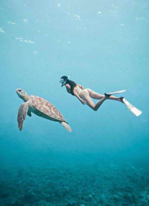 Bali Snorkeling Blue Lagoon and Tanjung Jepun Spots, S$14