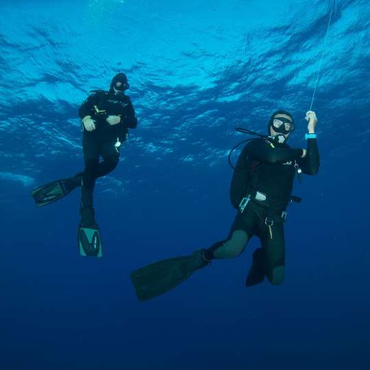 Scuba Diving at night in Mirissa