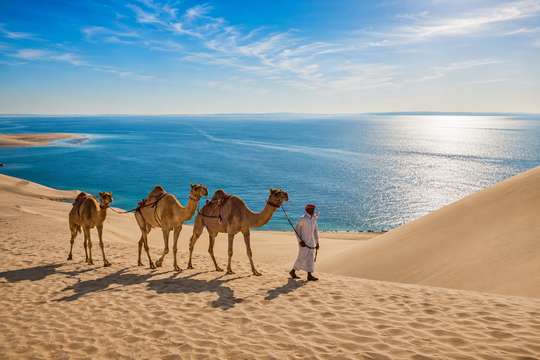 Doha: Private Desert Safari Shore Excursion from Cruise Port, AU$355