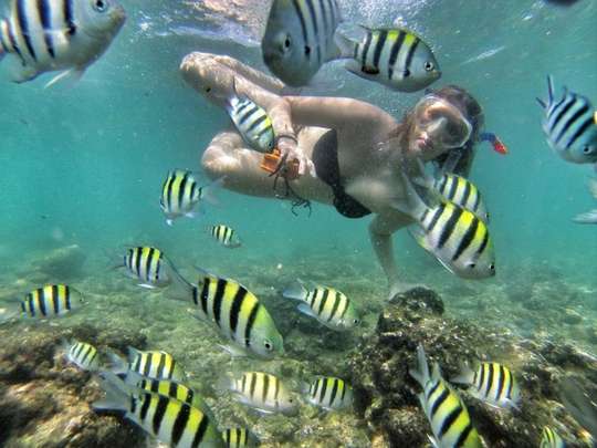 Snorkeling Ticket Nglambor Beach by Garis Trans