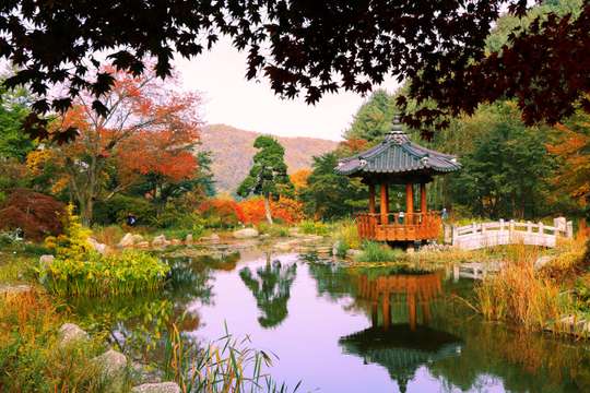 Nami Island, Petite France, Italian Village, and Garden of Morning Calm Tour from Seoul, 2.220.450 VND