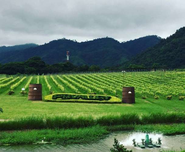 ทัวร์เขาใหญ่แบบส่วนตัวพร้อมพนักงานขับรถจากกรุงเทพฯ | ประเทศไทย 1