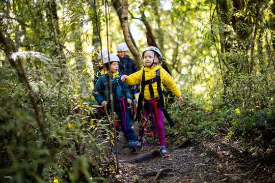 Rotorua Forest Zipline Canopy Tour | New Zealand