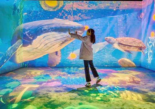 [Gwacheon] Wonder Park Discount Ticket