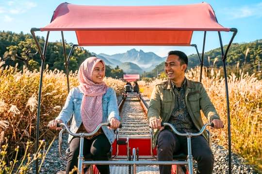 Nami Island, RailBike & Garden of Morning Calm Day Tour