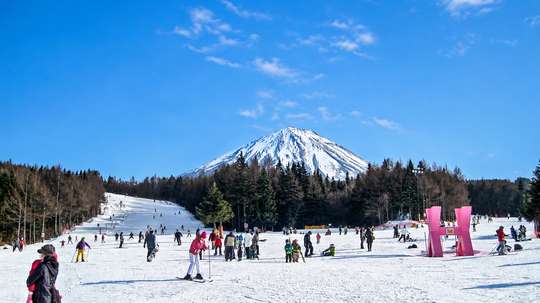 Tokyo: Mt. Fuji View, Fujiten Snow Fun & Oishi Park Day Tour