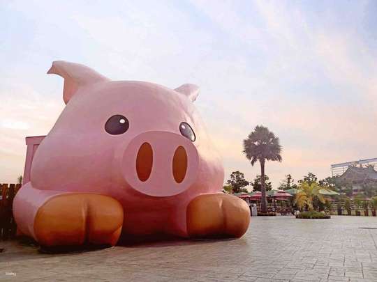 Chiayi Three Little Pigs Farm Admission Ticket