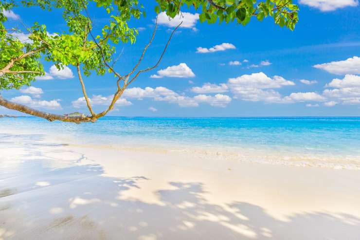 Phuket: Similan Islands Lazy Bird Program 3