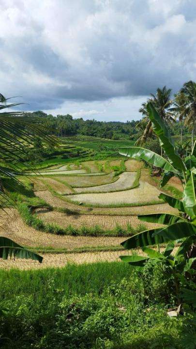 Soft trekking tetebatu rice terrace, RM 112