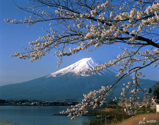 Mount Fuji and Lake Kawaguchi Full-Day Tour from Tokyo with Cable Car Ride