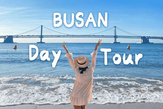 Busan Summer Exclusive Tour | Busan Taejongdae x Songdo Maritime Cable Car x Gamcheon-dong x Gwangalli Beach | Blue Line Park Coastal Train x Baeksand Culture Village x Gamcheon Culture Village x Oryukdo Skywalk | Haedong Yonggungsa Temple x Cheongsapo Skywalk x Capsule Train x Baeksand Culture Village x Gamcheon Culture Village