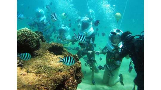 Seawalker at Tanjung Benoa by Suci Tiara Wisata, 507.826 VND
