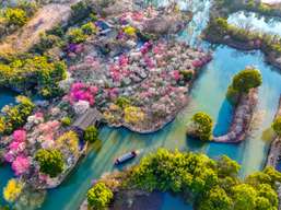 Xixi Wetland Park Admission Ticket – Peaceful Oasis Near West Lake