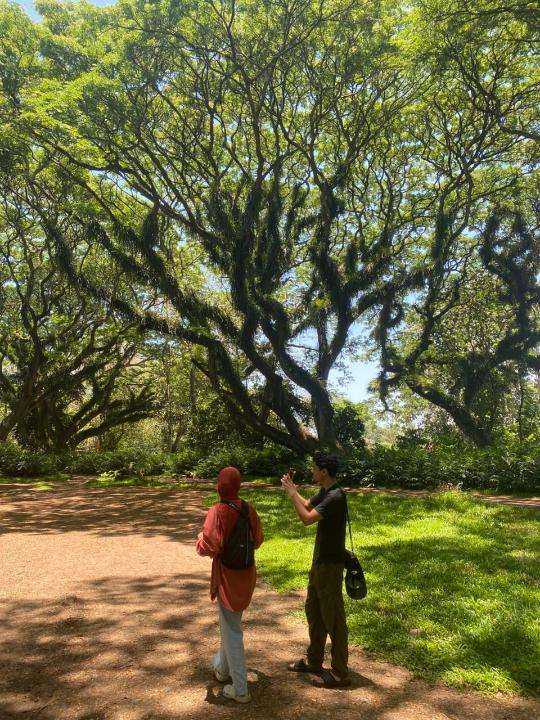 Djawatan Forest and Red Island Beach Tour in Banyuwangi, THB 653.70
