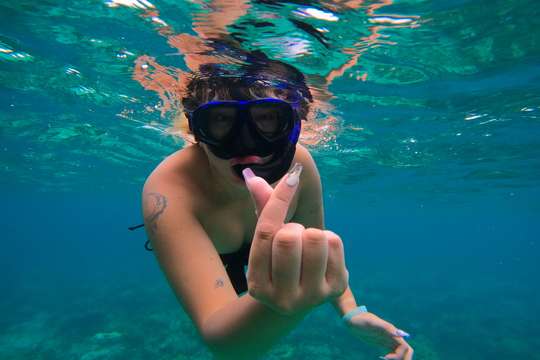 Avoid Maya Bay Crowds, Baby Sharks & Snorkel Tour (From Koh Phi Phi) - Half/ Full Day, RM 219