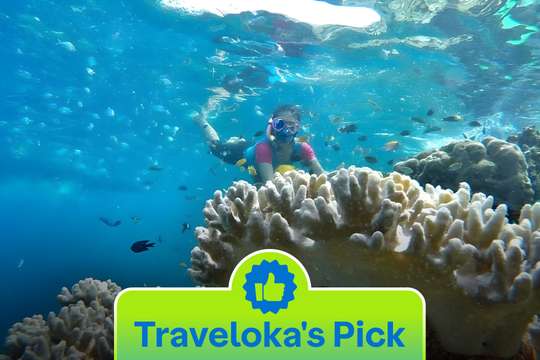 Pari Island Tour - 1 Day, S$13