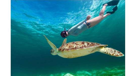 Gili Island Snorkeling Trip - Gili Trawangan, Gili Meno, & Gili Air, From Lombok