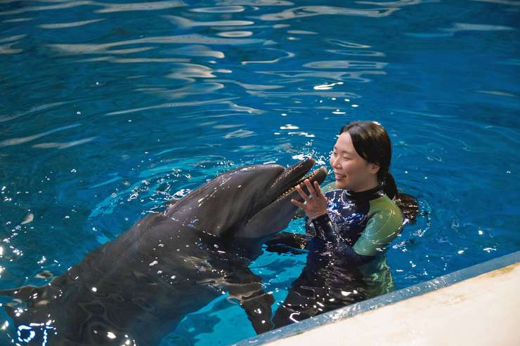 アクアプラネット済州水族館 入場チケット 1