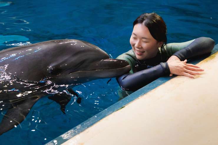 アクアプラネット済州水族館 入場チケット 2