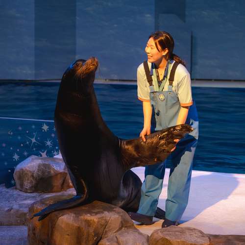 アクアプラネット済州水族館 入場チケット 2
