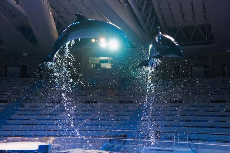 アクアプラネット済州水族館 入場チケット 3