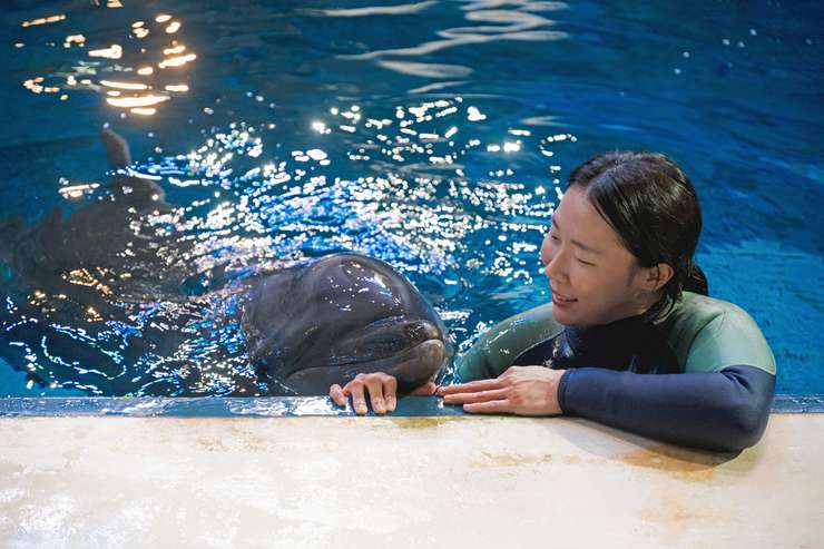 アクアプラネット済州水族館 入場チケット 3