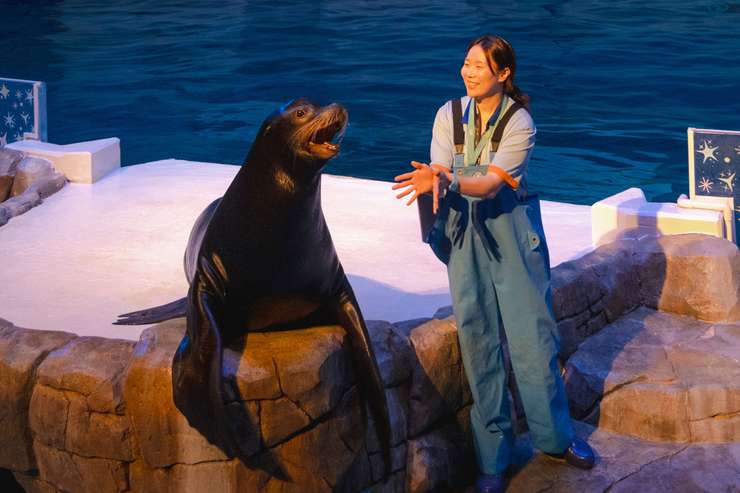 アクアプラネット済州水族館 入場チケット 1