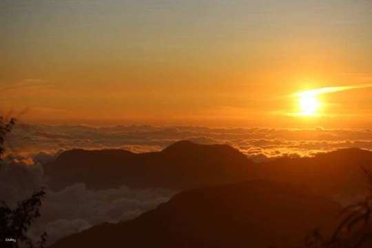Two-day self-driving tour of Alishan | Fenqihu, Zhushan line, one night stay