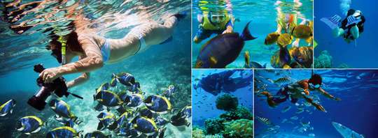 Snorkeling di Trincomalee