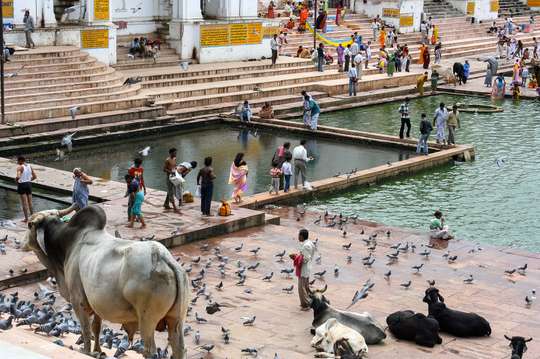Visit Hindu Pilgrim Pushkar with Jaipur Drop from Jodhpur.