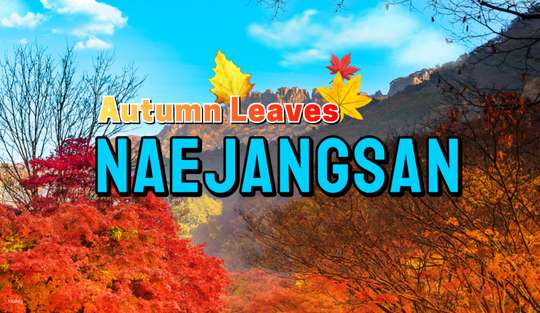 [Autumn Exclusive] Naejangsan 1-Day Tour: Maple Leaves Sightseeing (Departure from Seoul) | South Korea