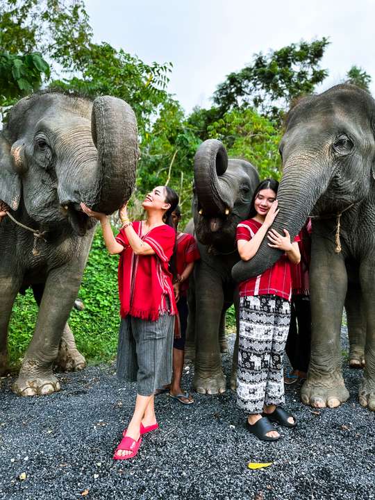 Kerchor Elephant Family Phuket, S$76