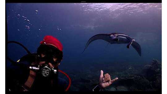 Dive Trip Derawan Archipelago - 5D4N, Rp 14.200.000
