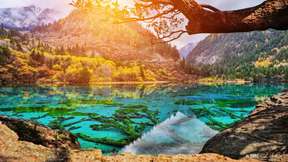 Jiuzhaigou Valley Scenic and Historic Interest Area Scenic Area+Sightseeing bus [SUMMER SALE] (FREE ESIM!）
