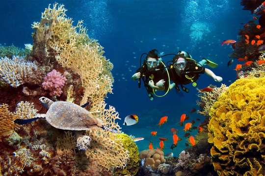 Diving at Tanjung Benoa Beach by Suci Tiara Wisata, 986.632 VND