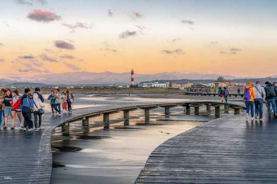 Gaomei Wetlands Sunset Shuttle / Half-Day Tour
