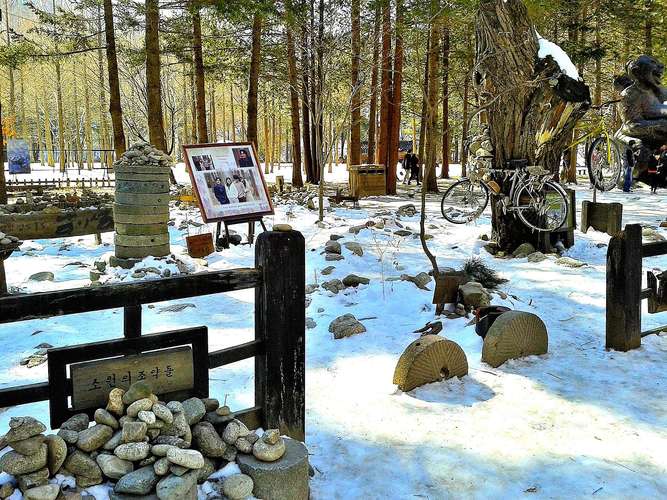 ソウル発、南怡島とア침고요수목원ツアー
 1