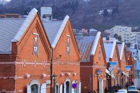 Hakodate Chartered Car Half-Day Sightseeing Tour (Night/Day) | Hokkaido