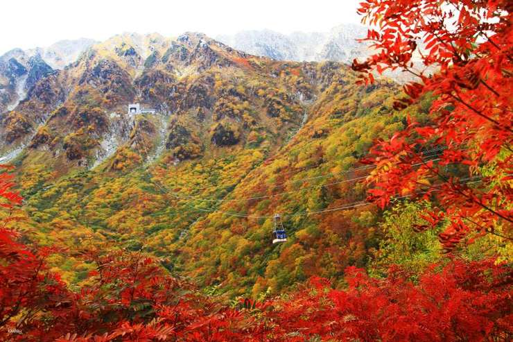 黑部立山枫红三日游｜立山黑部阿尔卑斯山路线室堂红叶＆上高地＆白川乡合掌村＆飞騨高山古街＆兼六园＆近江町市场｜日本名古屋出发 1