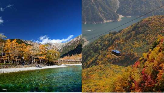 Tateyama Kurobe Alpine Route Autumn Foliage 3-Day Tour | Murodo Fall Colors, Kamikochi, Shirakawa-go, Takayama Old Town, Kenrokuen & Omicho Market | From Nagoya