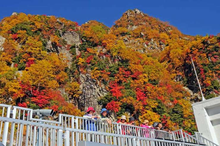 黑部立山枫红三日游｜立山黑部阿尔卑斯山路线室堂红叶＆上高地＆白川乡合掌村＆飞騨高山古街＆兼六园＆近江町市场｜日本名古屋出发 3