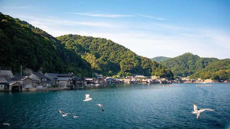 【1名様から催行】京都天橋立日帰りツアー｜伊根湾クルーズ＆伊根の舟屋／美山茅葺き小屋｜伊根湾クルーズ＆アワビまたはカニ半身鍋（オプション）｜大阪／難波／京都発 1