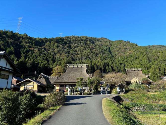 【1名様から催行】京都天橋立日帰りツアー｜伊根湾クルーズ＆伊根の舟屋／美山茅葺き小屋｜伊根湾クルーズ＆アワビまたはカニ半身鍋（オプション）｜大阪／難波／京都発 3