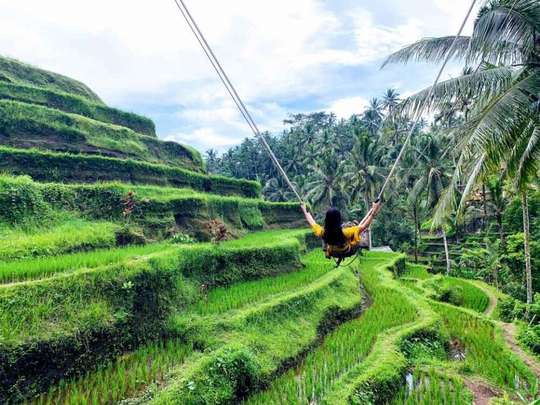 Ubud Tour by Angkasa Travel, 1.175.253 VND