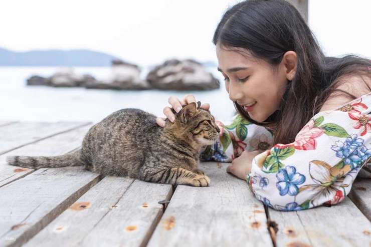 ทัวร์ครึ่งวัน 3 เกาะไข่ จากภูเก็ต | ประเทศไทย 1