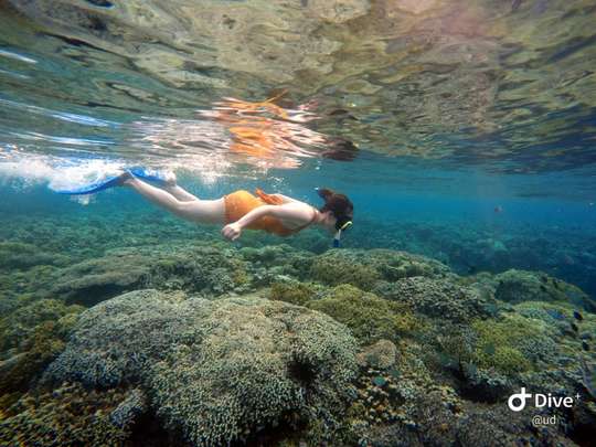 Bunaken snorkeling 2x with snorkeling equipment and lunch, 1.454.652 VND