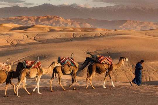 Marrakech Agafay Desert with Quad Bike and Camel trek and Dinner with Show Half Day Tour Luxury Camp, RM 638