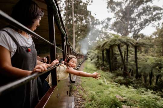 Melbourne: Puffing Billy Train & Penguin Parade Adventure, ₱ 9,143.43